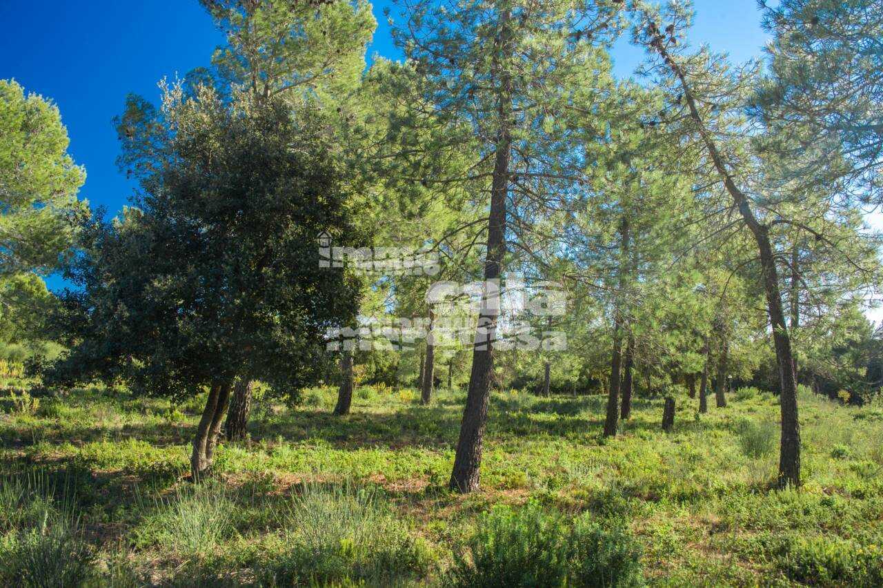 PARCELA nº 32 EN EXCLUSIVA URBANIZACIÓN EN VALL-LLOBREGA