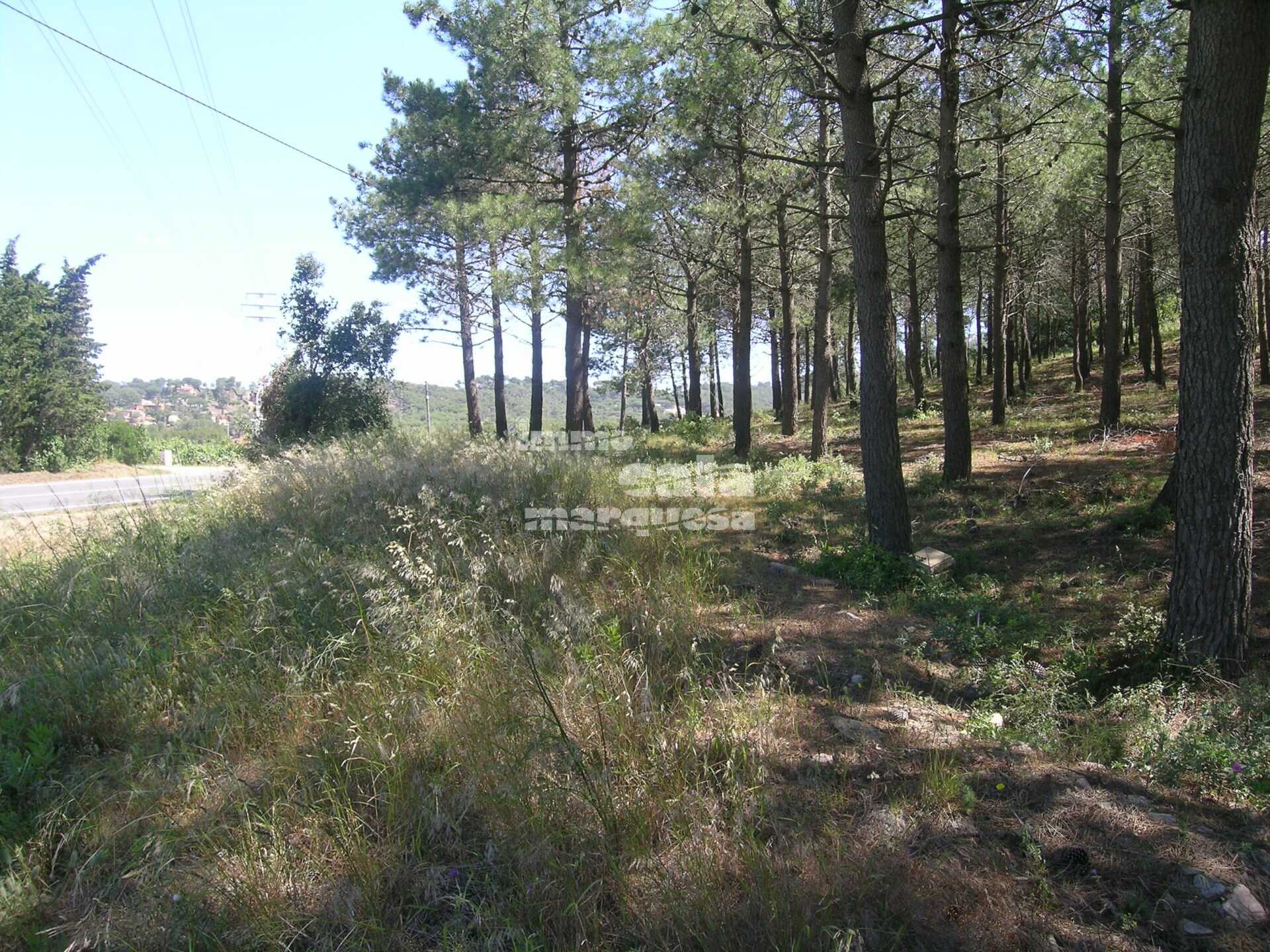 GRAN TERRENY RÚSTIC A BEGUR