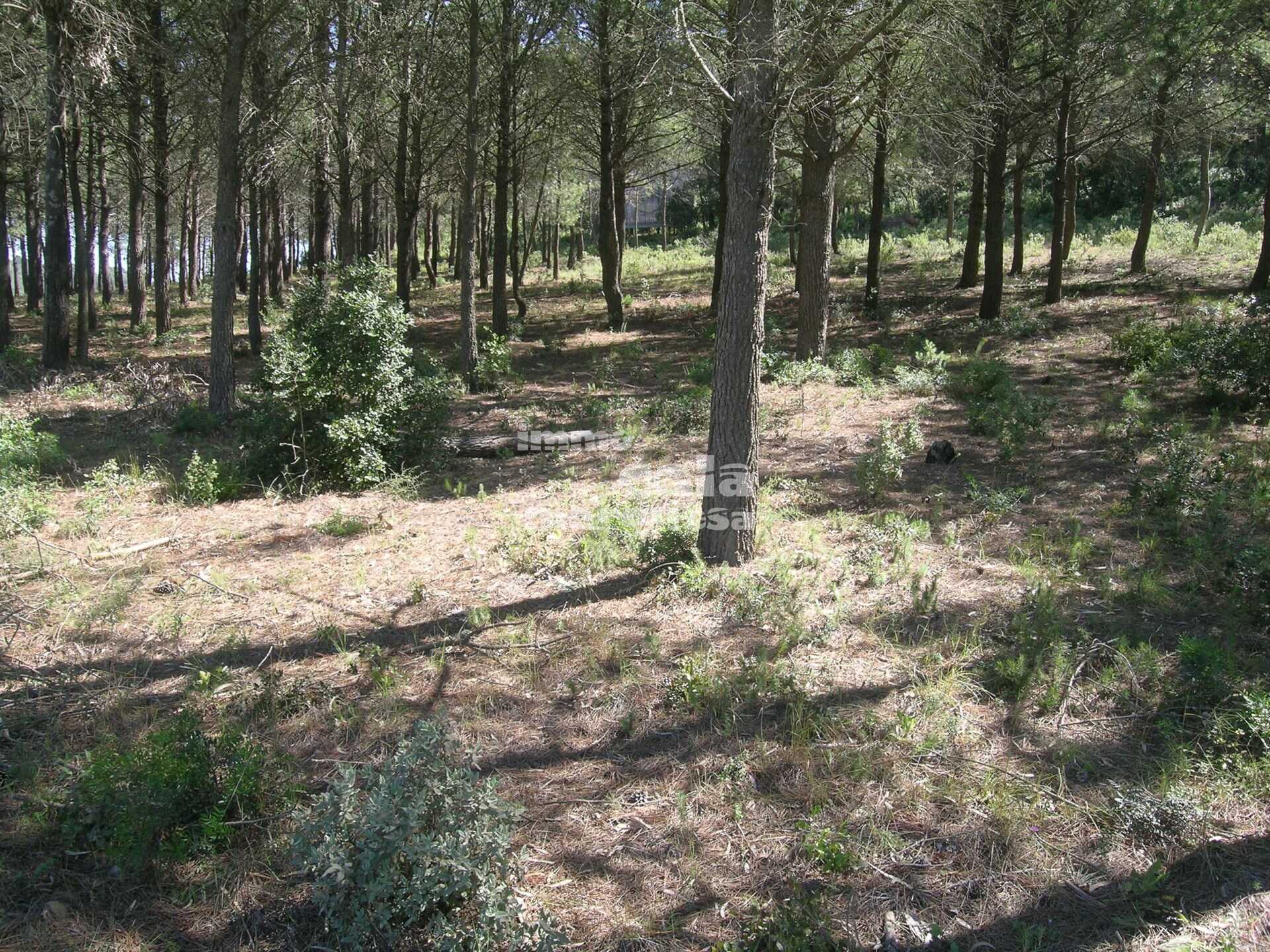 GRAN TERRENY RÚSTIC A BEGUR